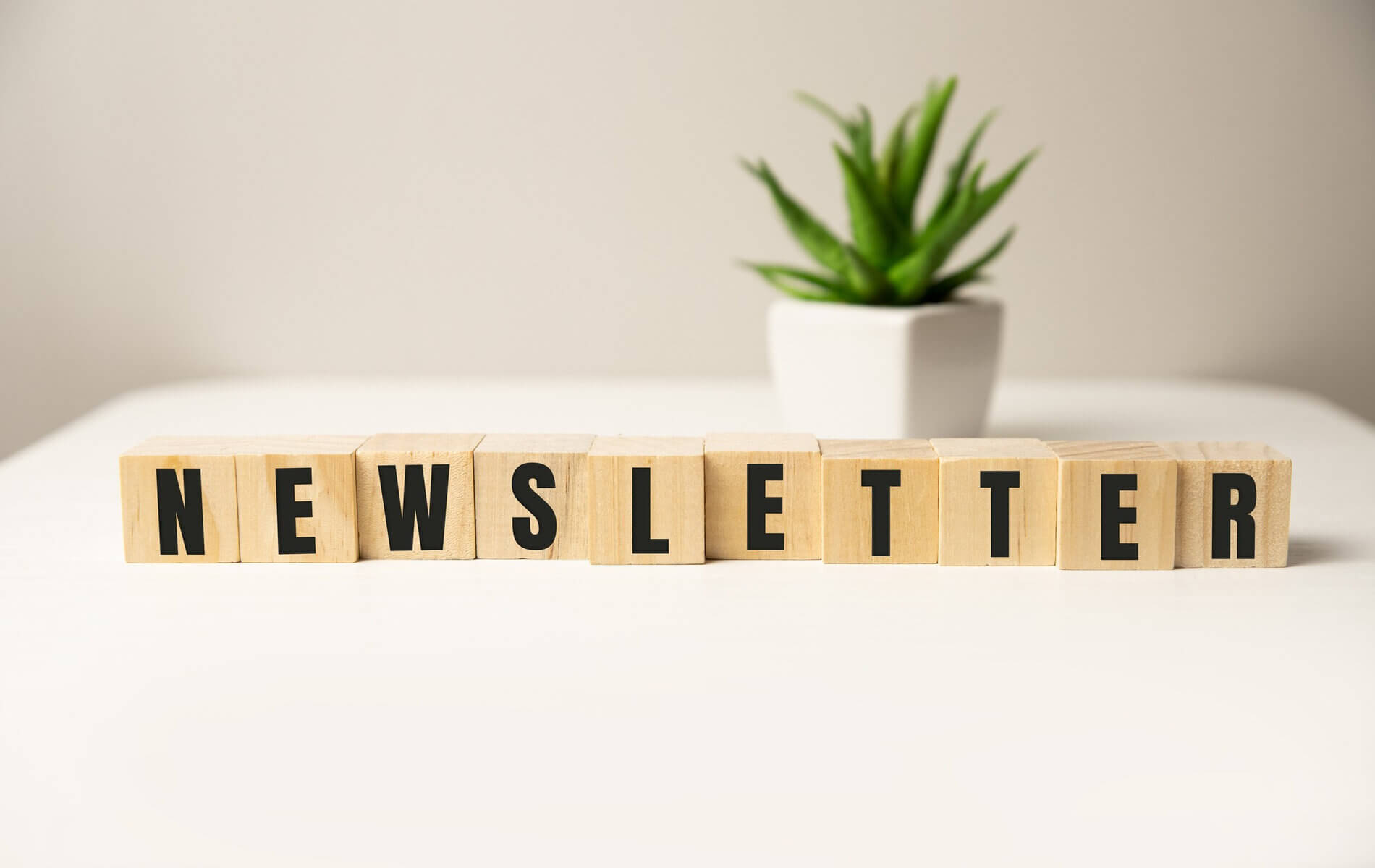 newsletter-written-wood-blocks